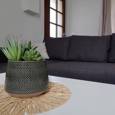 Clermont Centre- Appartement Prive Екстер'єр фото